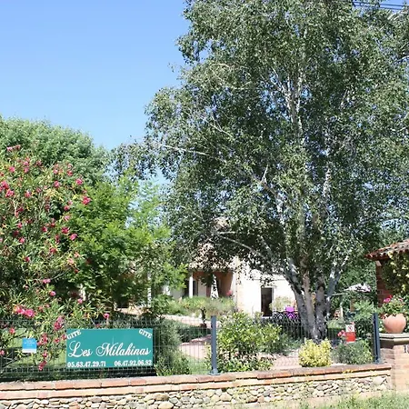 Les Milahinas Lescure-d'Albigeois