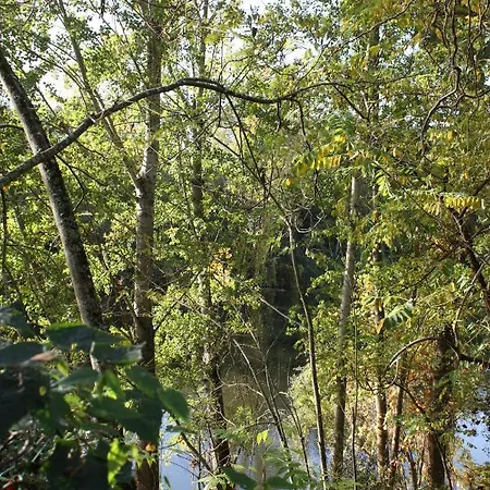 Lägenhet Les Milahinas Lescure-dʼAlbigeois